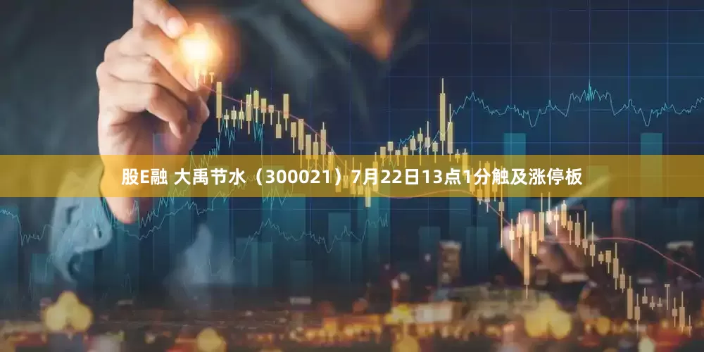 股E融 大禹节水（300021）7月22日13点1分触及涨停板