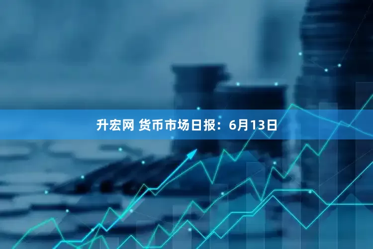 升宏网 货币市场日报：6月13日