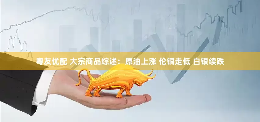 粤友优配 大宗商品综述：原油上涨 伦铜走低 白银续跌